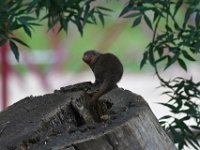 Beale Park 06-23-17